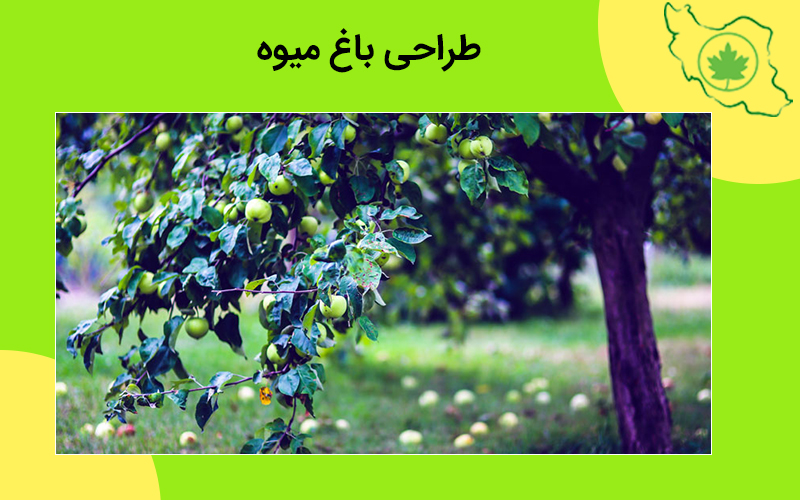 طراحی باغ میوه طراحی باغ میوه