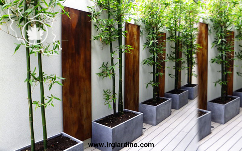 طراحی دیوار حیاط ویلا طراحی دیوار حیاط ساختمان